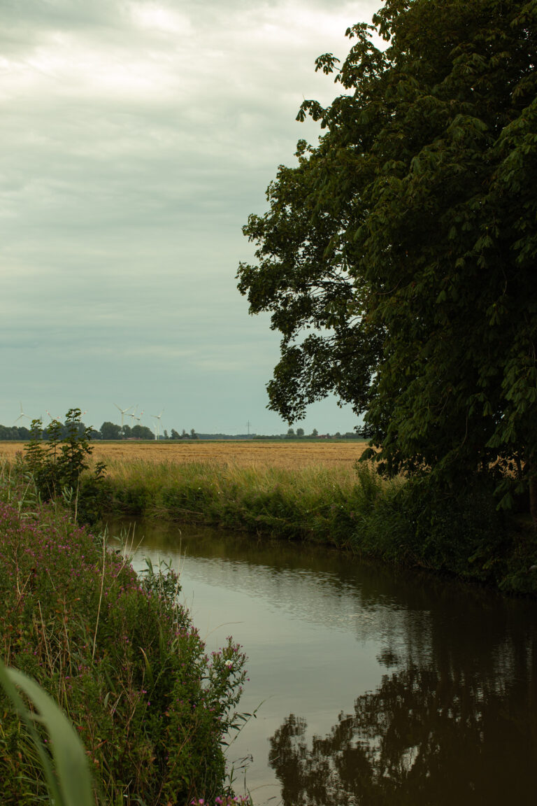 Landschafts fotografie